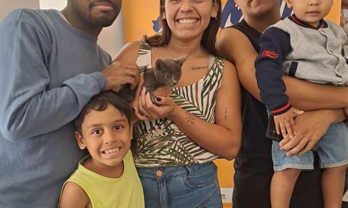 VR: espaço de adoção ‘Família Animal’ acontece neste sábado em dois pontos da cidade